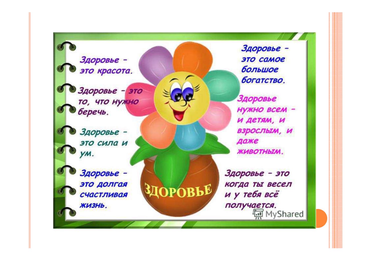 Название проекта про здоровье